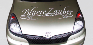 bild-5