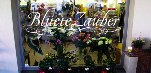 bild-6